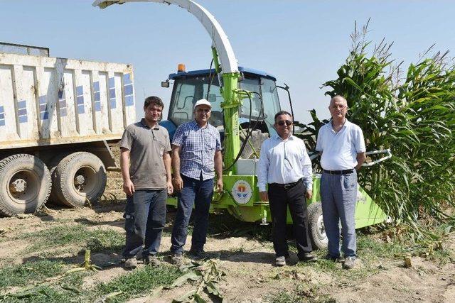 Büyükşehir’den Çiftçiye Silaj Biçme Desteği