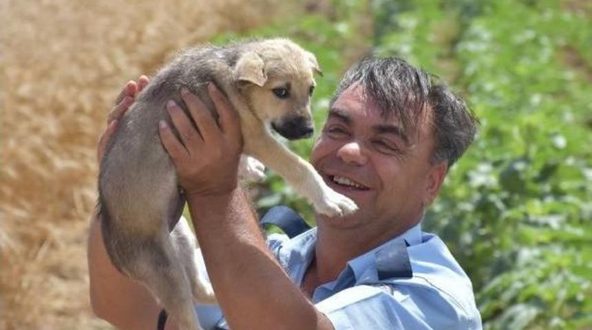 Polis Memurunun Hayvan Sevgisi