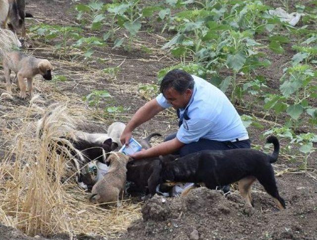 Polis Memurunun Hayvan Sevgisi