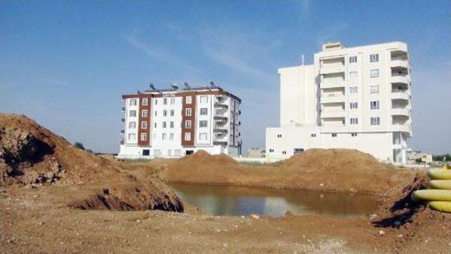 Harran Ovası'ndaki Betonlaşma Oranı 3 Kat Arttı