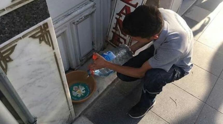 Sokak Hayvanları İ&ccedil;in Seferber Oldular