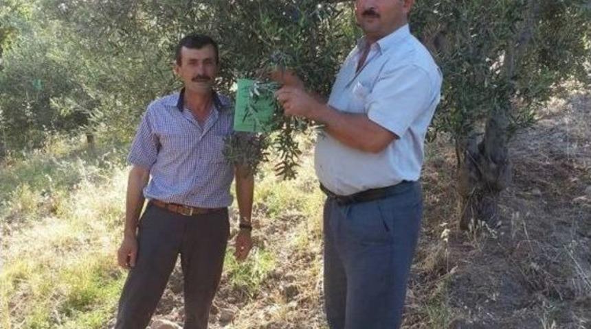 Kırtık&rsquo; Da Organik &Uuml;r&uuml;n Sayısı Artıyor