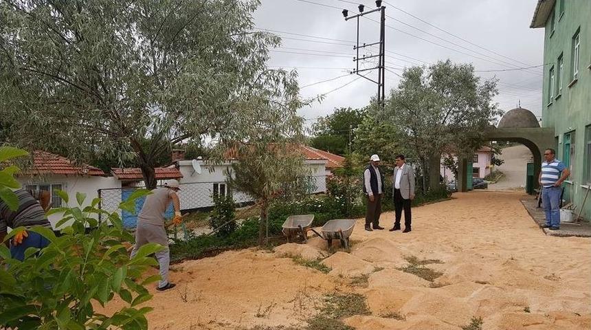 Pazaryeri&rsquo;nde Parke &Ccedil;alışmaları