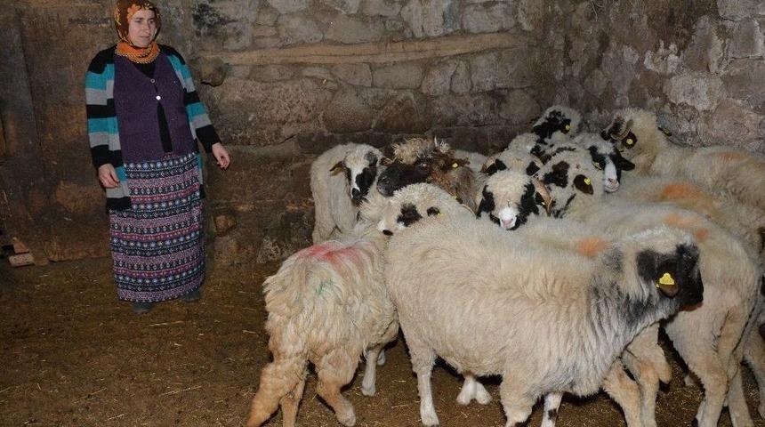 Gen&ccedil; &Ccedil;ift&ccedil;i Projesi&rsquo;ne Kadın Eli