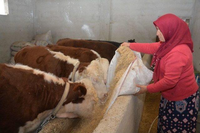 Gen&ccedil; &Ccedil;ift&ccedil;i Projesi&rsquo;ne Kadın Eli 1