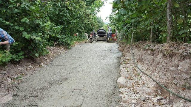 Fatsa’da Beton Yol Çalışması