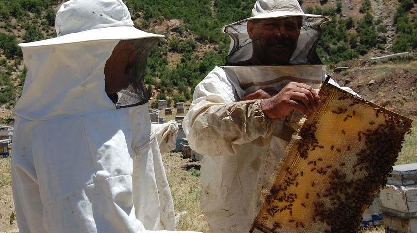 (&ouml;zel Haber) D&uuml;nya Birincisi Bitlis Balı Organik &Uuml;retilecek