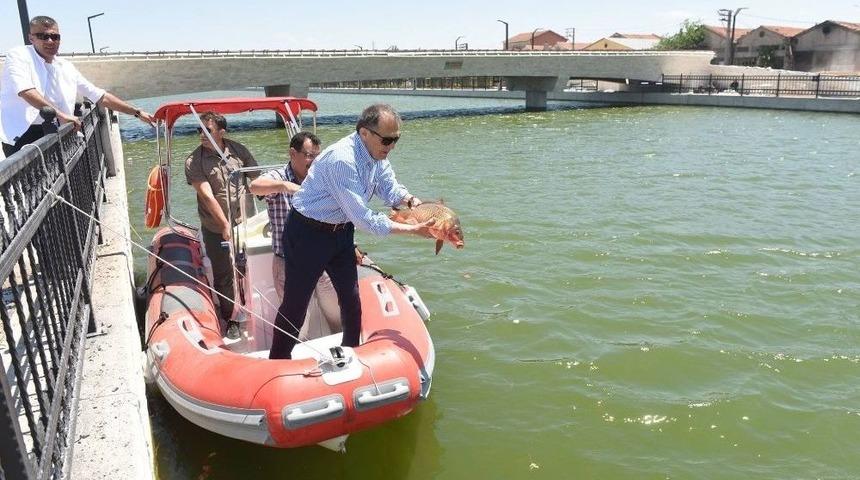 Avlu Balıkesir&rsquo;de Balık Tutma Keyfi Başlıyor