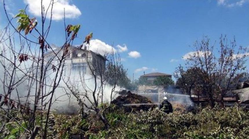 Tekirdağ'daki Yangında 8 B&uuml;y&uuml;kbaş Hayvan Telef Oldu