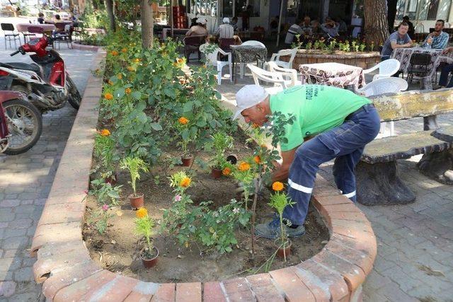 Urganlı Meydanları Çiçeklerde Donatılıyor