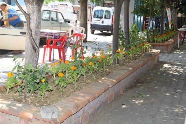 Urganlı Meydanları Çiçeklerde Donatılıyor