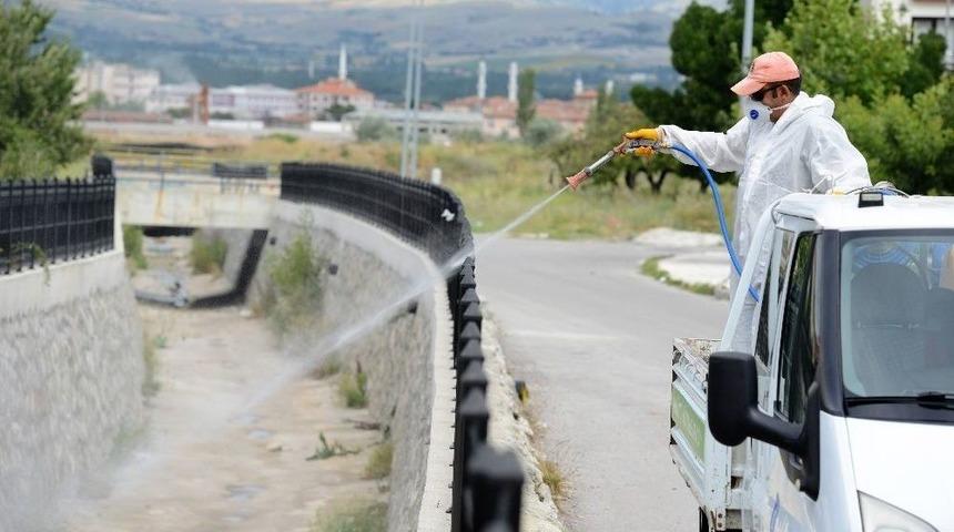 &Ccedil;orum Belediyesi, Vekt&ouml;rel M&uuml;cadeleye Devam Ediyor