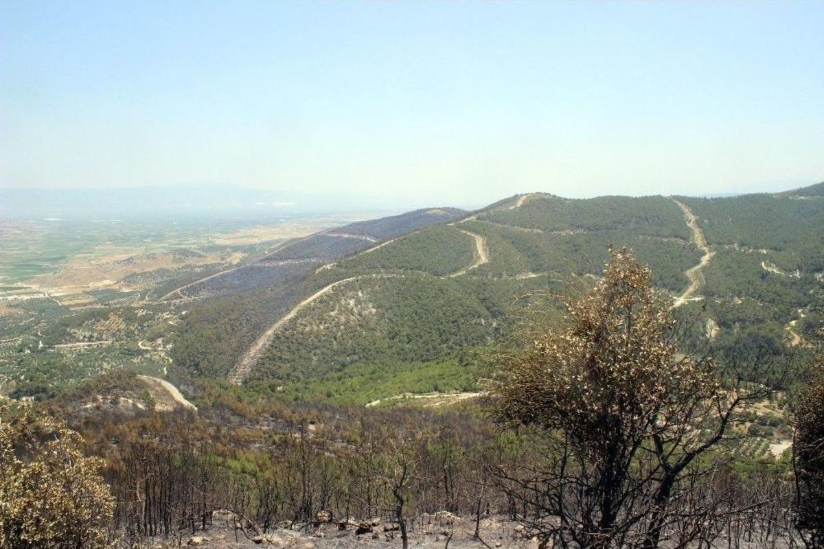 Korucu: "denizli&rsquo;deki Orman Yangının Sebebi Kaza Ve Doğal Afet Değil"