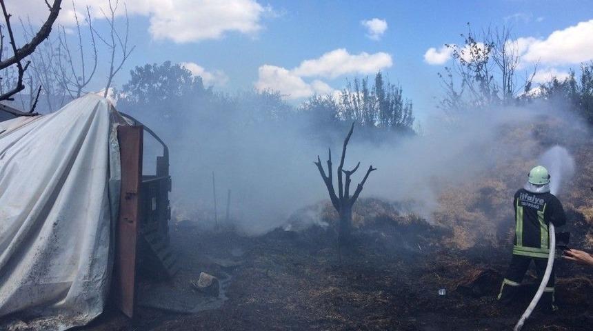 Tekirdağ&rsquo;da Ahır Yangını: 9 B&uuml;y&uuml;kbaş Hayvan Telef Oldu
