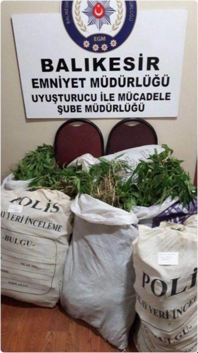 Susurluk&rsquo;ta 30 Kilo Esrar Ele Ge&ccedil;irildi 2