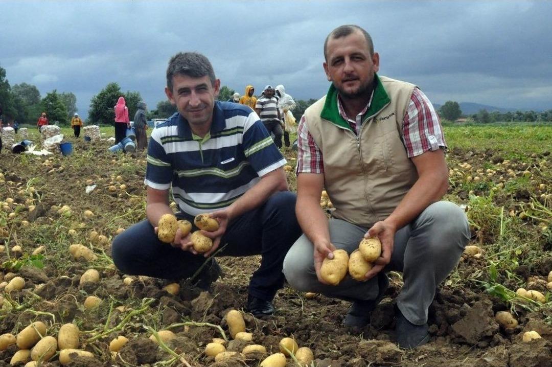 Patates &Uuml;reticisinin Y&uuml;z&uuml; G&uuml;l&uuml;yor