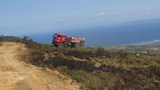 Şarköy'de Iki Ayrı Orman Yangını