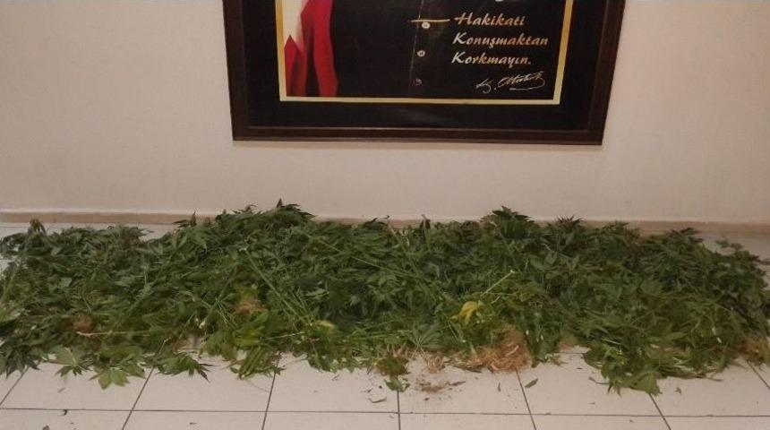 İzmir&rsquo;de Uyuşturucu Operasyonu: 2 G&ouml;zaltı