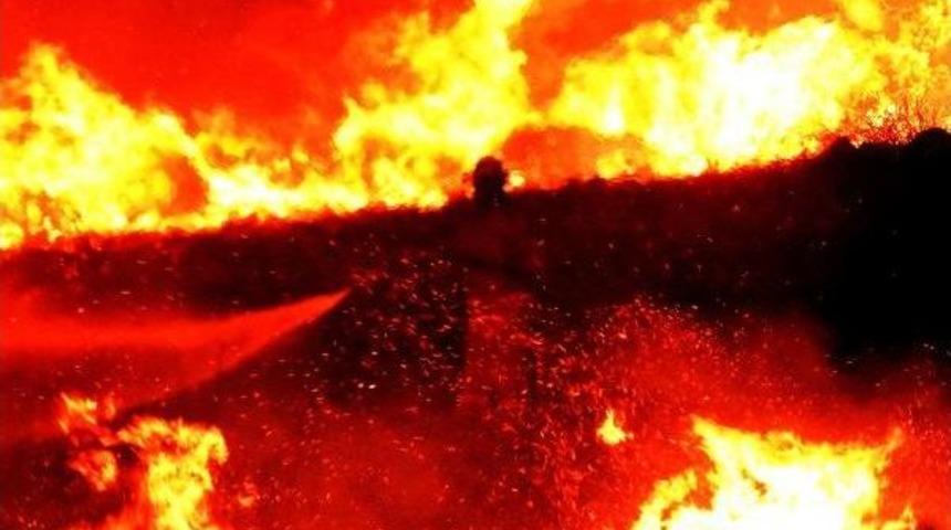 Bodrum'da Makilik Yangını