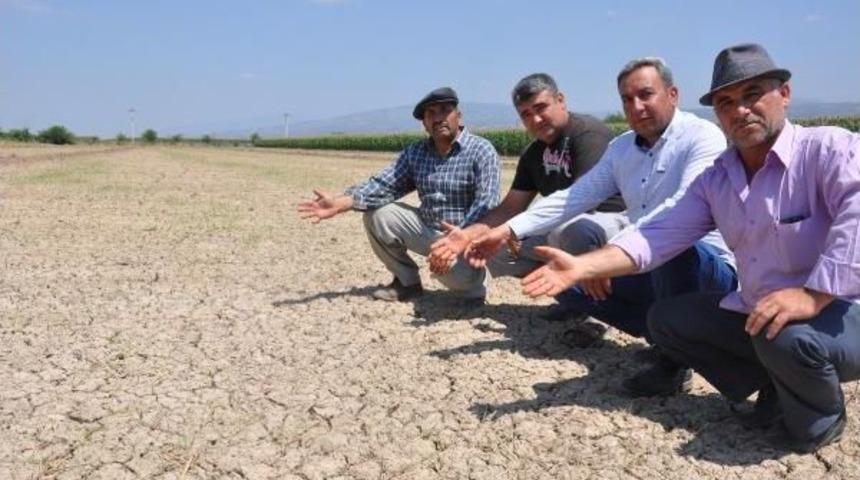 Yenipazarlı &Uuml;reticiler Susuz Kaldı