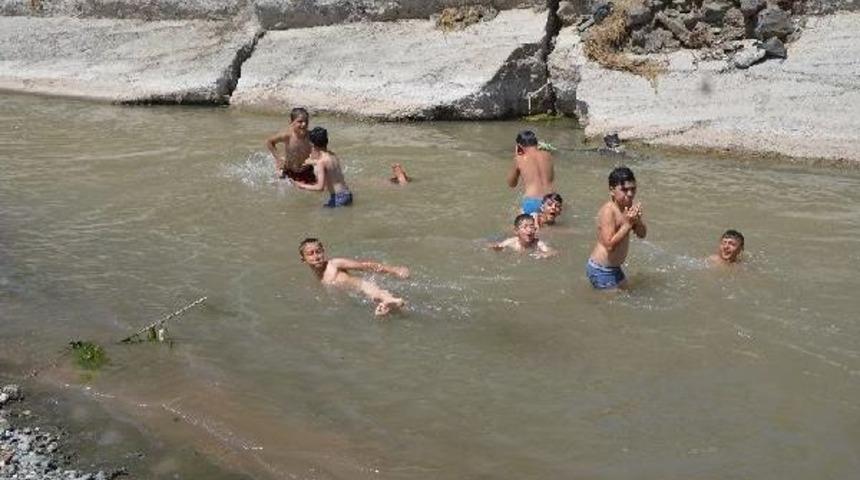 Hem Serinliyor, Hem De Balık Tutuyorlar