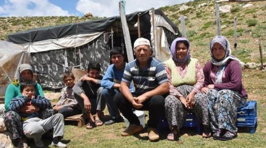 Yaylalar Y&ouml;r&uuml;klerle Şenlendi