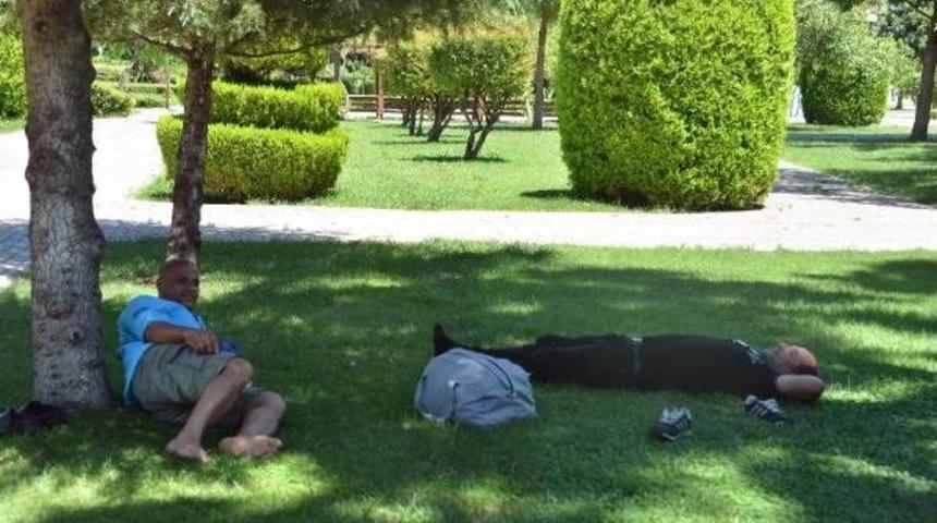 Prof. Dr. Akbaba: Sıcakta Kafeinli Ve Şekerli I&ccedil;e&ccedil;eklerden Uzak Durun