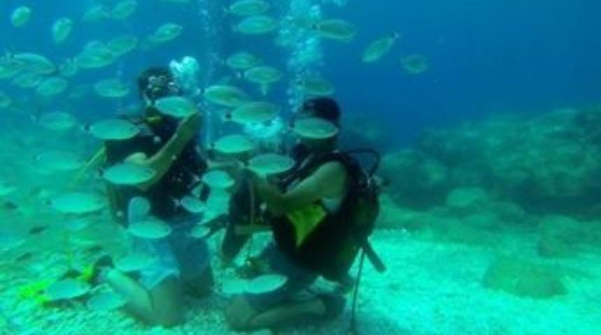 T&uuml;rkuaz Doğa Sporları&rsquo;nın Dalış Programı Belli Oldu