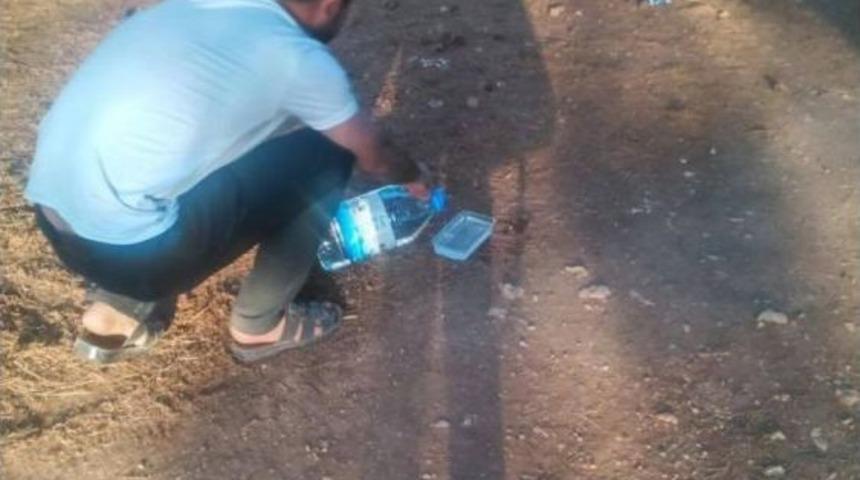 Gaziantep &Uuml;lk&uuml; Ocaklarından Sokak Hayvanlarına Şefkat Eli