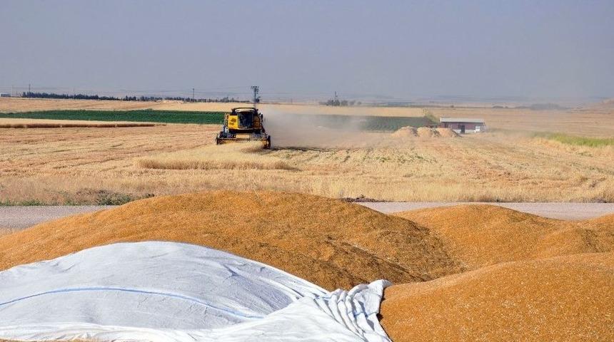 &Ccedil;ift&ccedil;iler, Tefecilerin Eline D&uuml;şmek İstemiyor