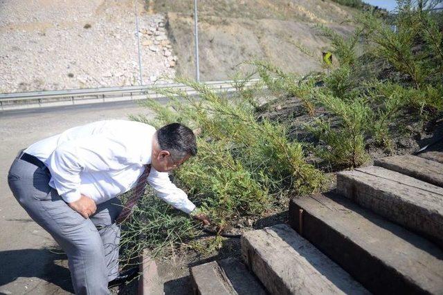 Başkan Yağcı, 3 Boyutlu Kayı Boyu Anıtı’nda İncelemelerde Bulundu