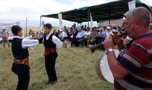 Danalar Törenle Meraya Salındı