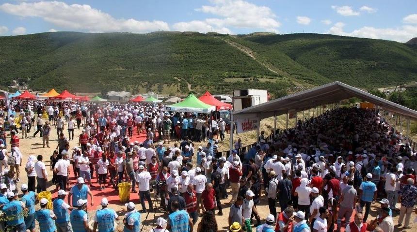 Kılı&ccedil;daroğlu&rsquo;nun Mola Yerinde Dağı Taşı Kırmızı Halıyla Kapladılar