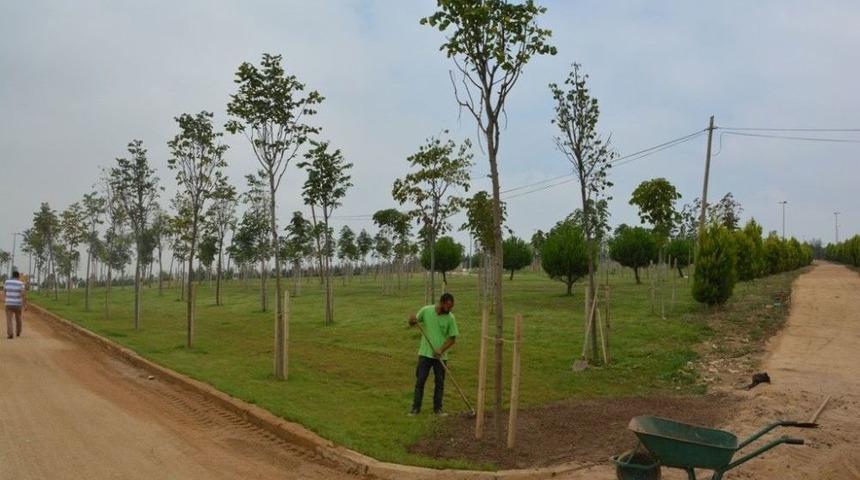 Dilovası&rsquo;nda Yeşil Alanlar Bakımdan Ge&ccedil;ti
