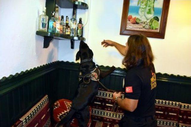 Marmaris in &Uuml;nl&uuml; Barlar Sokağı nda Polis Denetimi 1