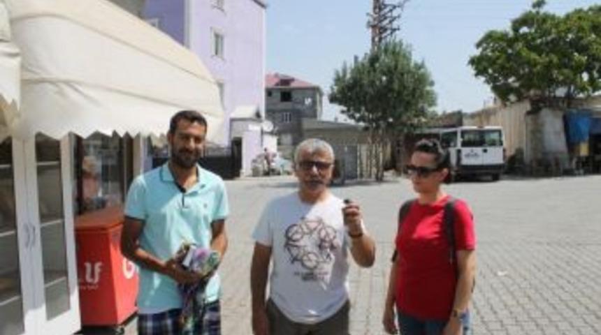 Ebabil Kuşu Doğaya Salındı