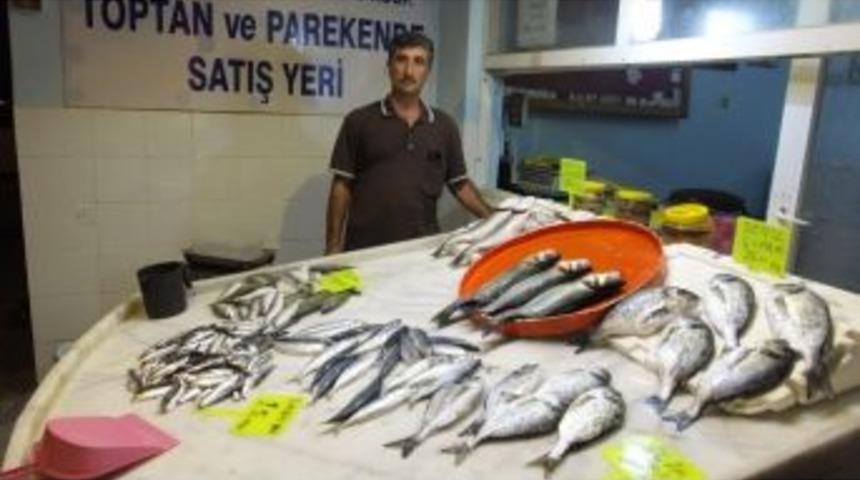 Burhaniyeli Balık&ccedil;ılara Kooperatif Desteği