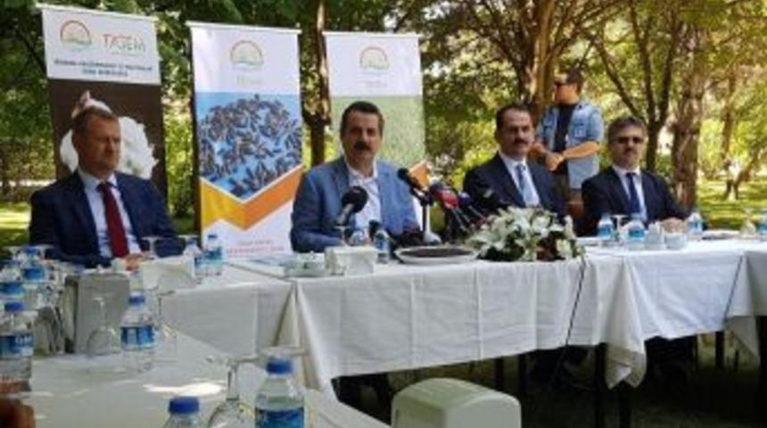 Bu Yıl Kurban Bayramı&rsquo;nda Dişi Hayvan Kesilmeyecek