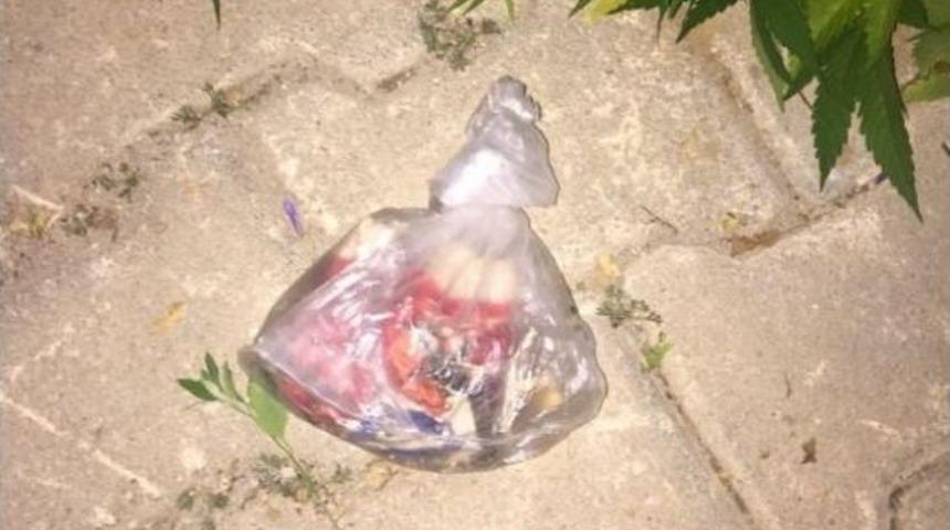 Polis 91 K&ouml;k Kenevir Ele Ge&ccedil;irdi