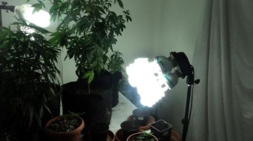 Evin Odasını Uyuşturucu Imalathanesine &Ccedil;evirdi