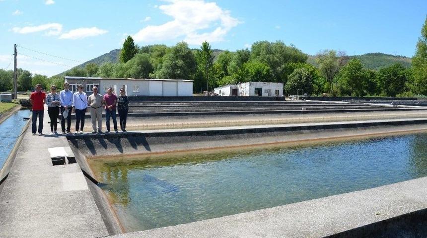 Tika Karadağ&rsquo;da Balık&ccedil;ılık Sekt&ouml;r&uuml;n&uuml;n Sorunlarını Yerinde İnceledi