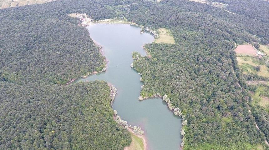 Sinop G&ouml;letlerine 35 Bin Sazan Balığı Yavrusu Bırakıldı