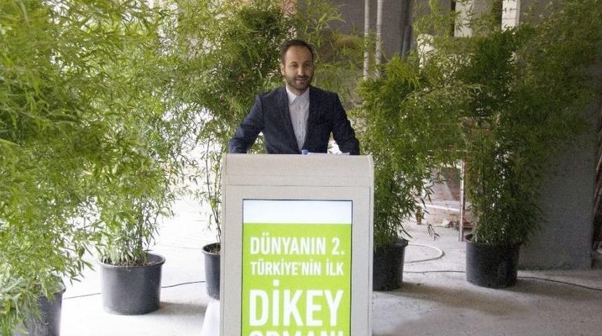 &lsquo;dikey Orman&rsquo;ın İlk Ağacı 40 Metre Y&uuml;ksekliğe Dikildi