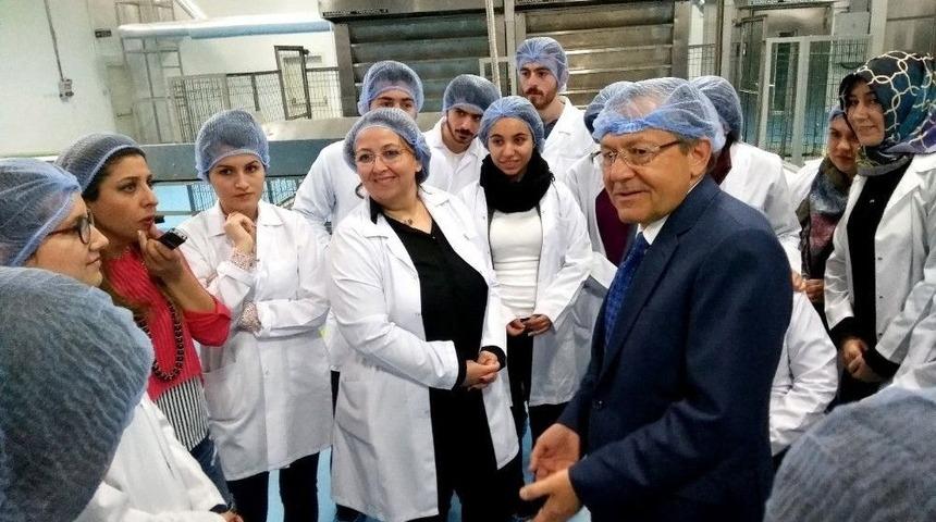 Fırıntaş&rsquo;tan Şeffaf &Uuml;retim