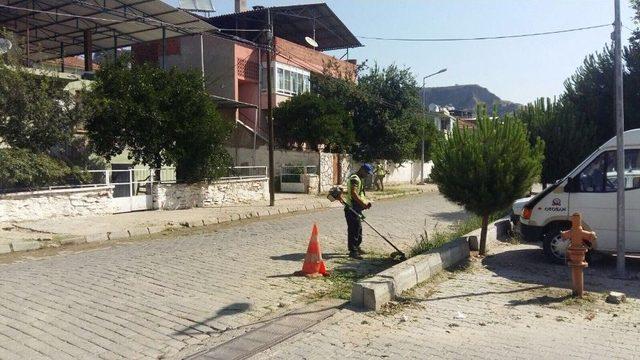 Aydın B&uuml;y&uuml;kşehir Kuyucak&rsquo;ta Hizmete Devam Ediyor 1