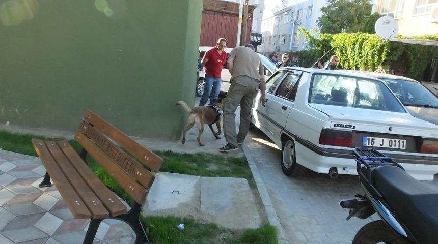 Burhaniye&rsquo;de Polis Uyuşturucu Satıcılarına Ge&ccedil;it Vermiyor