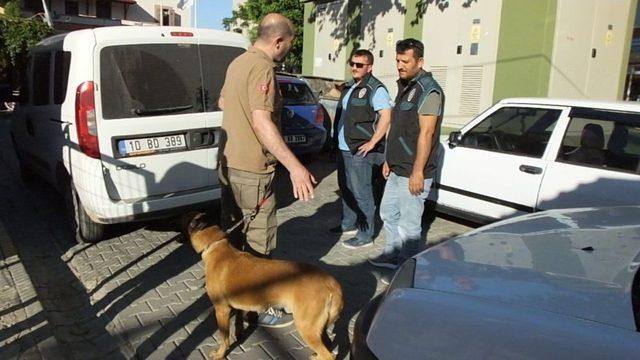 Burhaniye’de Polis Uyuşturucu Satıcılarına Geçit Vermiyor 1