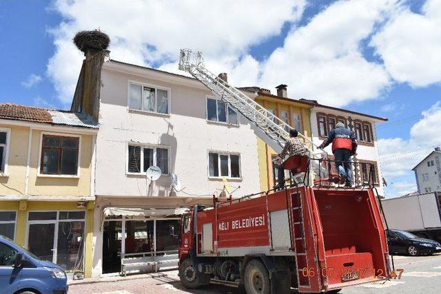 Anneleri Ölen Yavru Leyleklere, Belediye Ve Mahalleli Sahip Çıktı