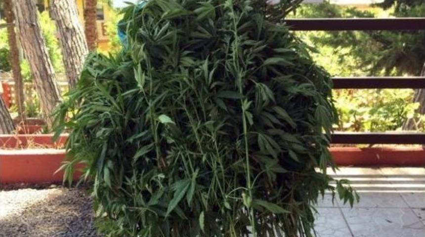 Alanya’da Uyuşturucu Operasyonu