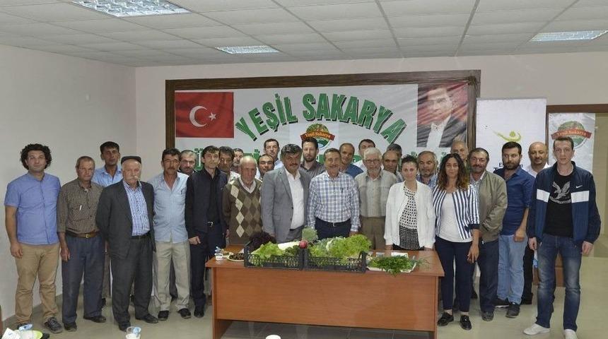 Her Yer Kavrulurken Onlar G&uuml;vende